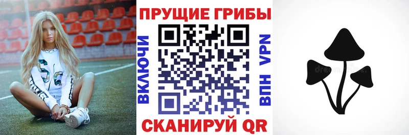 Псилоцибиновые грибы ЛСД  купить закладку  Лукоянов 